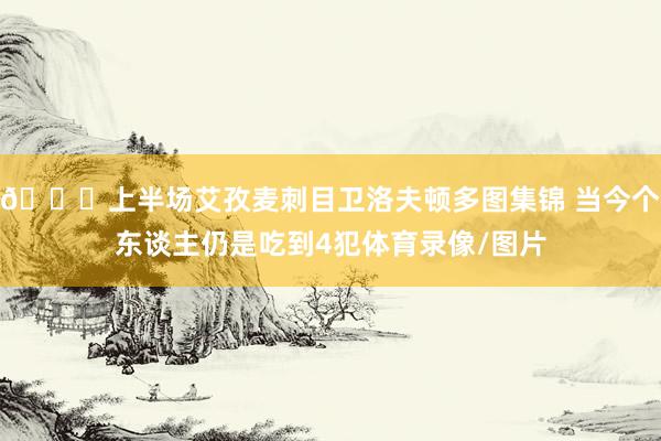 👀上半场艾孜麦刺目卫洛夫顿多图集锦 当今个东谈主仍是吃到4犯体育录像/图片