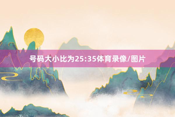 号码大小比为25:35体育录像/图片