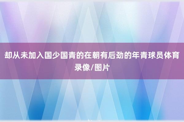 却从未加入国少国青的在朝有后劲的年青球员体育录像/图片