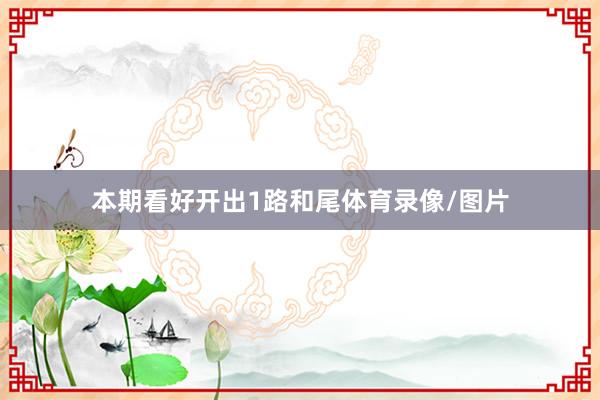 本期看好开出1路和尾体育录像/图片