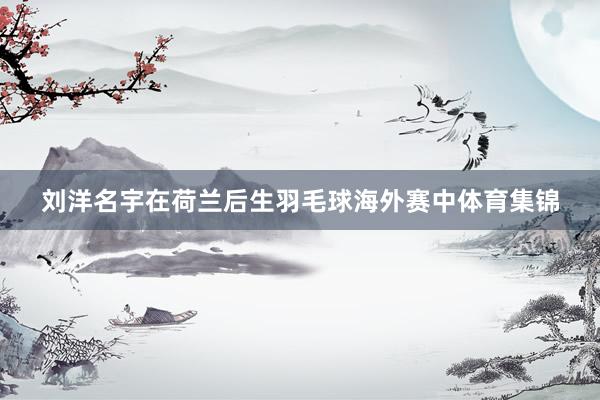 刘洋名宇在荷兰后生羽毛球海外赛中体育集锦
