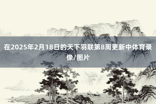 在2025年2月18日的天下羽联第8周更新中体育录像/图片