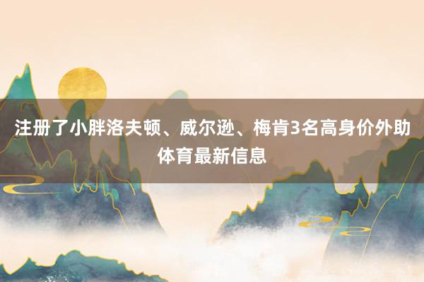 注册了小胖洛夫顿、威尔逊、梅肯3名高身价外助体育最新信息