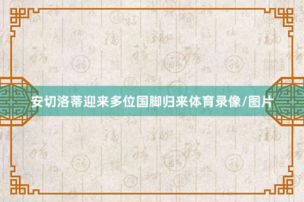 安切洛蒂迎来多位国脚归来体育录像/图片