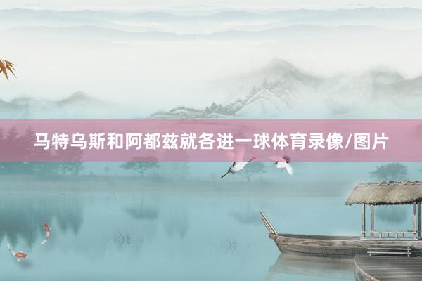 马特乌斯和阿都兹就各进一球体育录像/图片