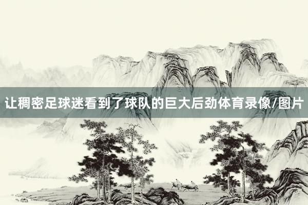 让稠密足球迷看到了球队的巨大后劲体育录像/图片