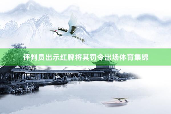评判员出示红牌将其罚令出场体育集锦