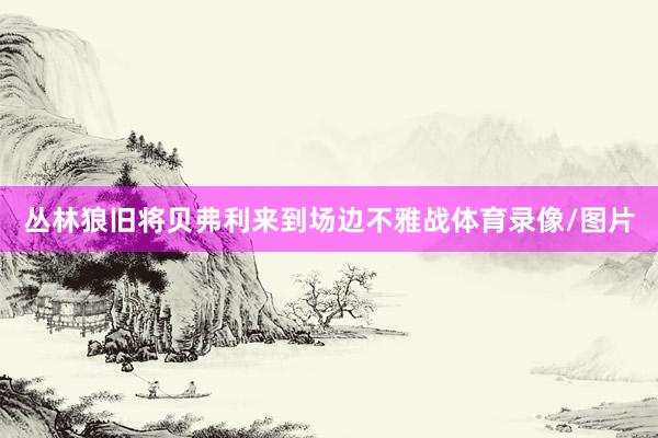 丛林狼旧将贝弗利来到场边不雅战体育录像/图片