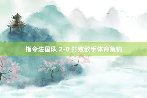 指令法国队 2-0 打败敌手体育集锦