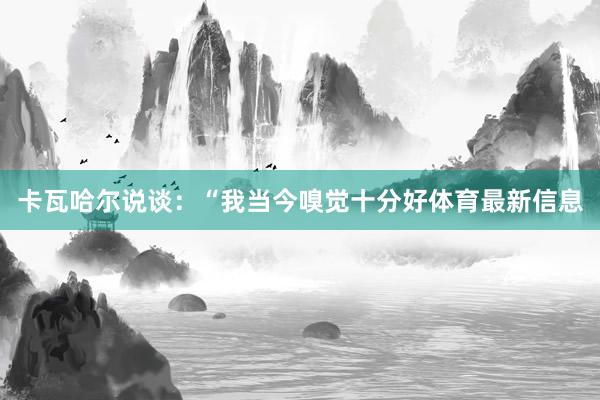 卡瓦哈尔说谈：“我当今嗅觉十分好体育最新信息