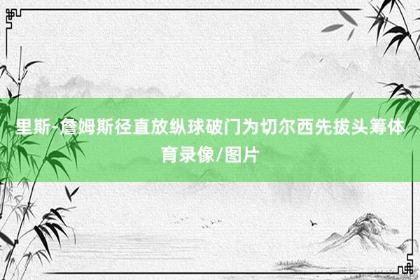 里斯-詹姆斯径直放纵球破门为切尔西先拔头筹体育录像/图片