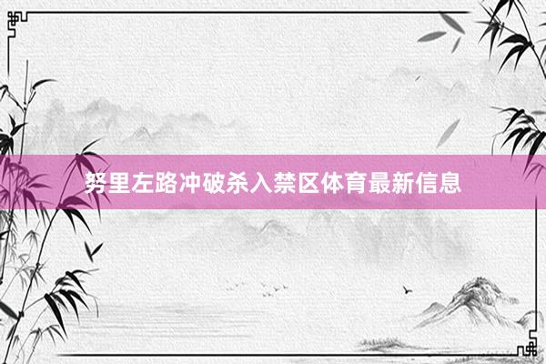 努里左路冲破杀入禁区体育最新信息