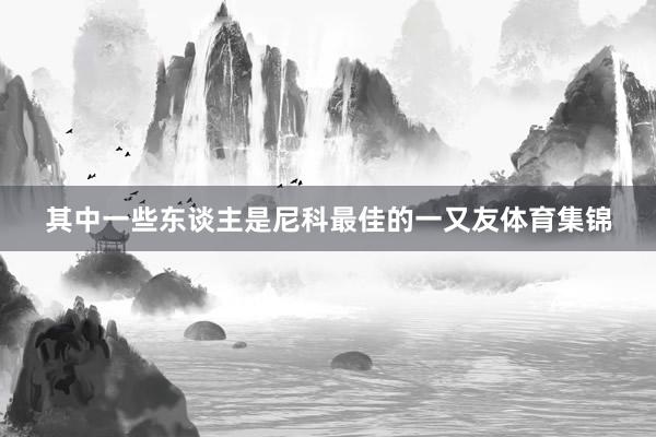 其中一些东谈主是尼科最佳的一又友体育集锦