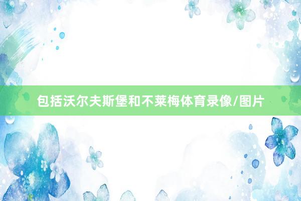 包括沃尔夫斯堡和不莱梅体育录像/图片