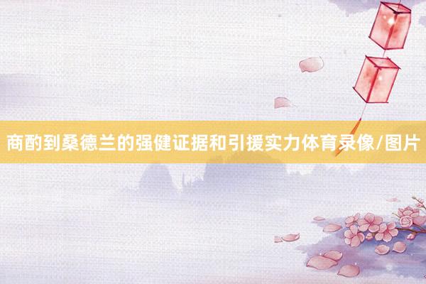 商酌到桑德兰的强健证据和引援实力体育录像/图片