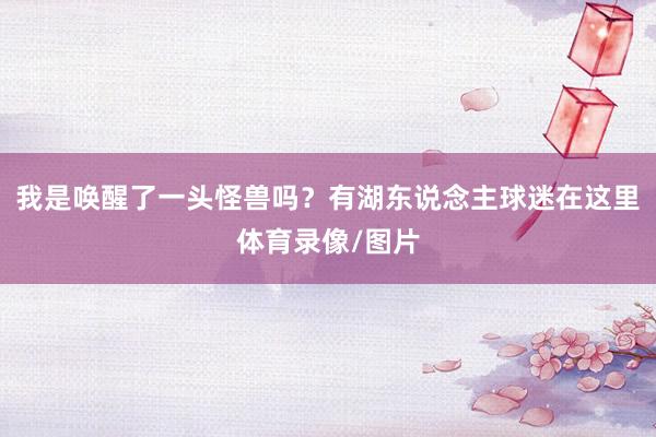 我是唤醒了一头怪兽吗？有湖东说念主球迷在这里体育录像/图片