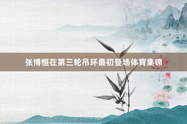张博恒在第三轮吊环最初登场体育集锦