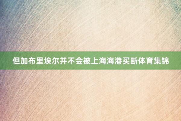 但加布里埃尔并不会被上海海港买断体育集锦
