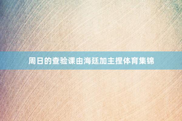 周日的查验课由海廷加主捏体育集锦