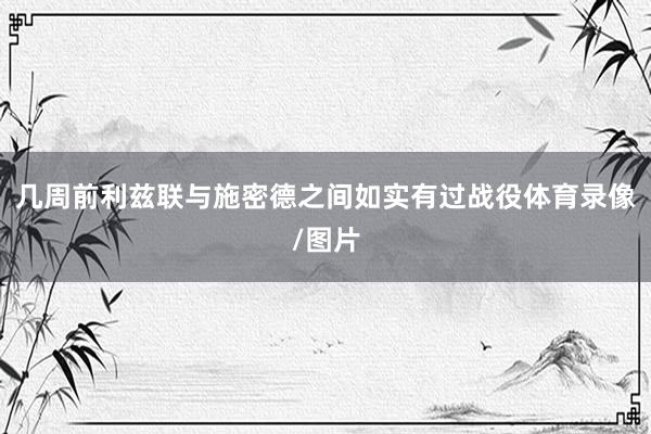几周前利兹联与施密德之间如实有过战役体育录像/图片