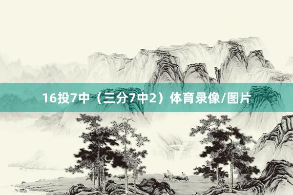16投7中（三分7中2）体育录像/图片