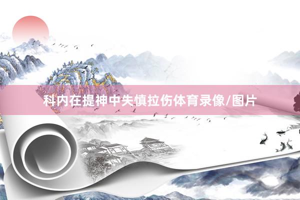 科内在提神中失慎拉伤体育录像/图片