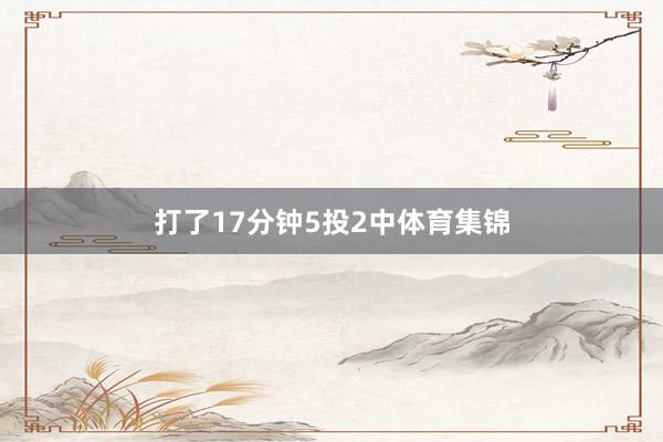 打了17分钟5投2中体育集锦