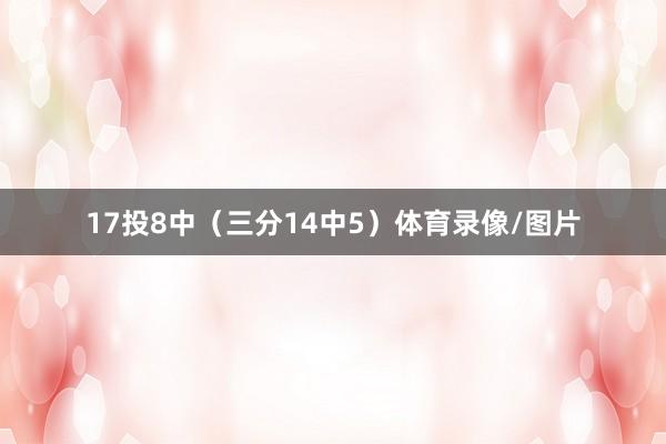 17投8中（三分14中5）体育录像/图片