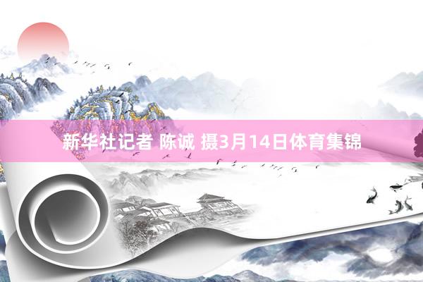 新华社记者 陈诚 摄3月14日体育集锦