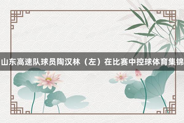 山东高速队球员陶汉林（左）在比赛中控球体育集锦