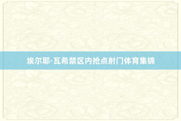 埃尔耶·瓦希禁区内抢点射门体育集锦